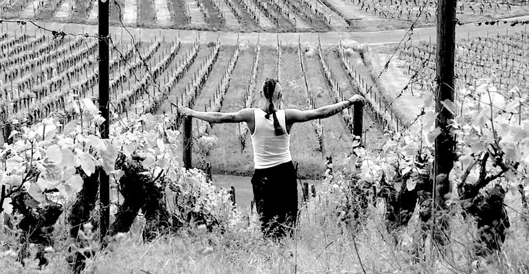 Headerbild Virgilios Erbe